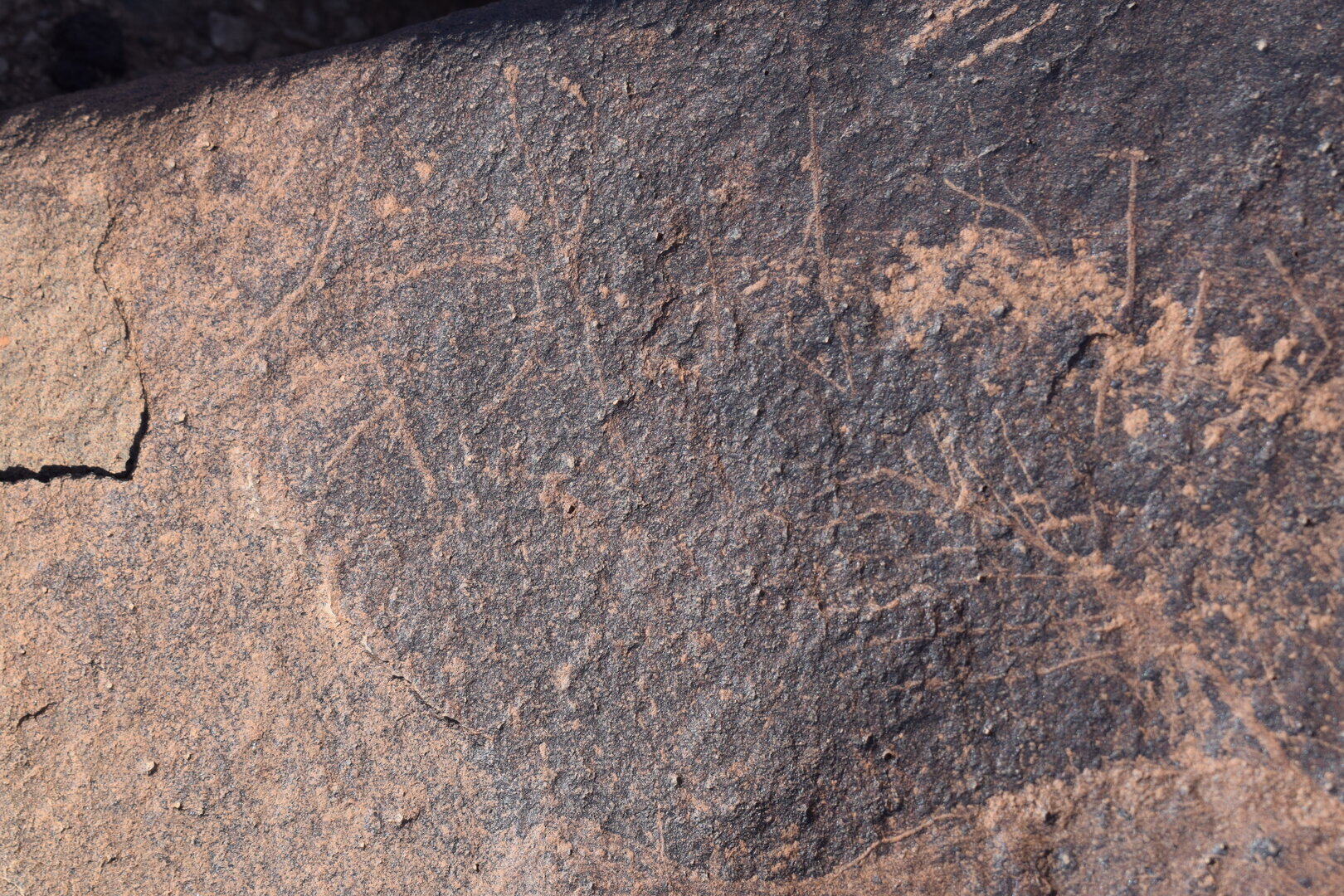 Image of siglum BES20 705
