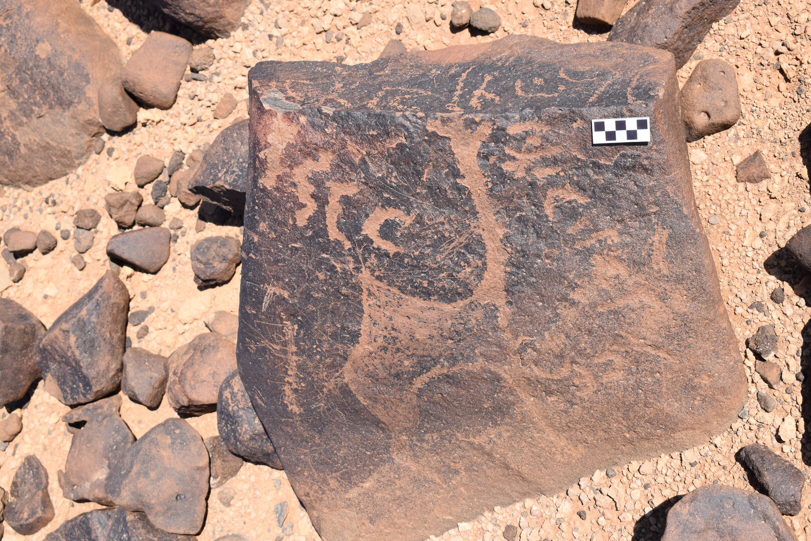 Image of siglum BES20 707
