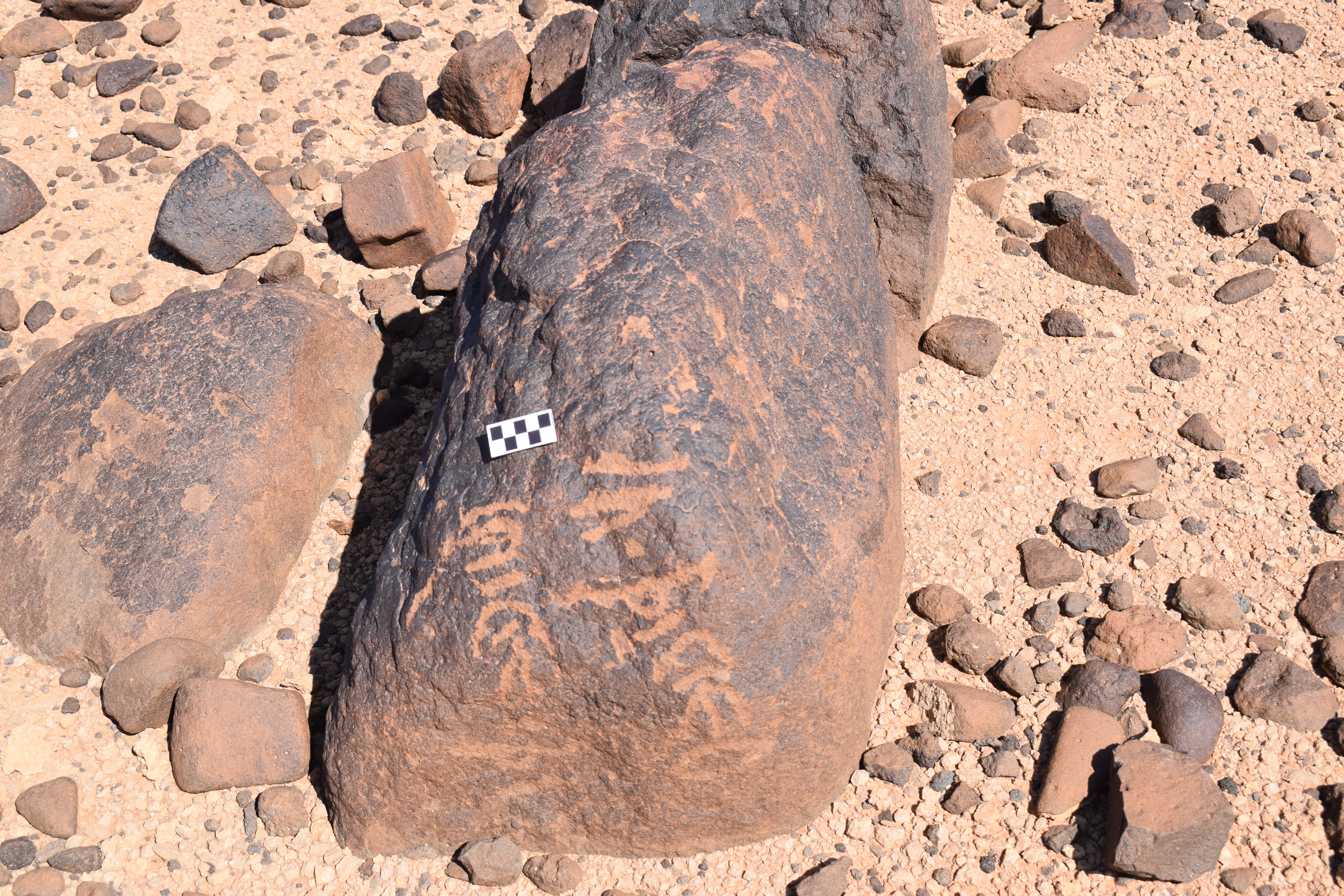 Image of siglum BES20 709