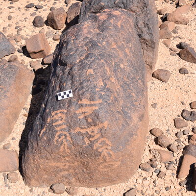 Image of siglum BES20 709