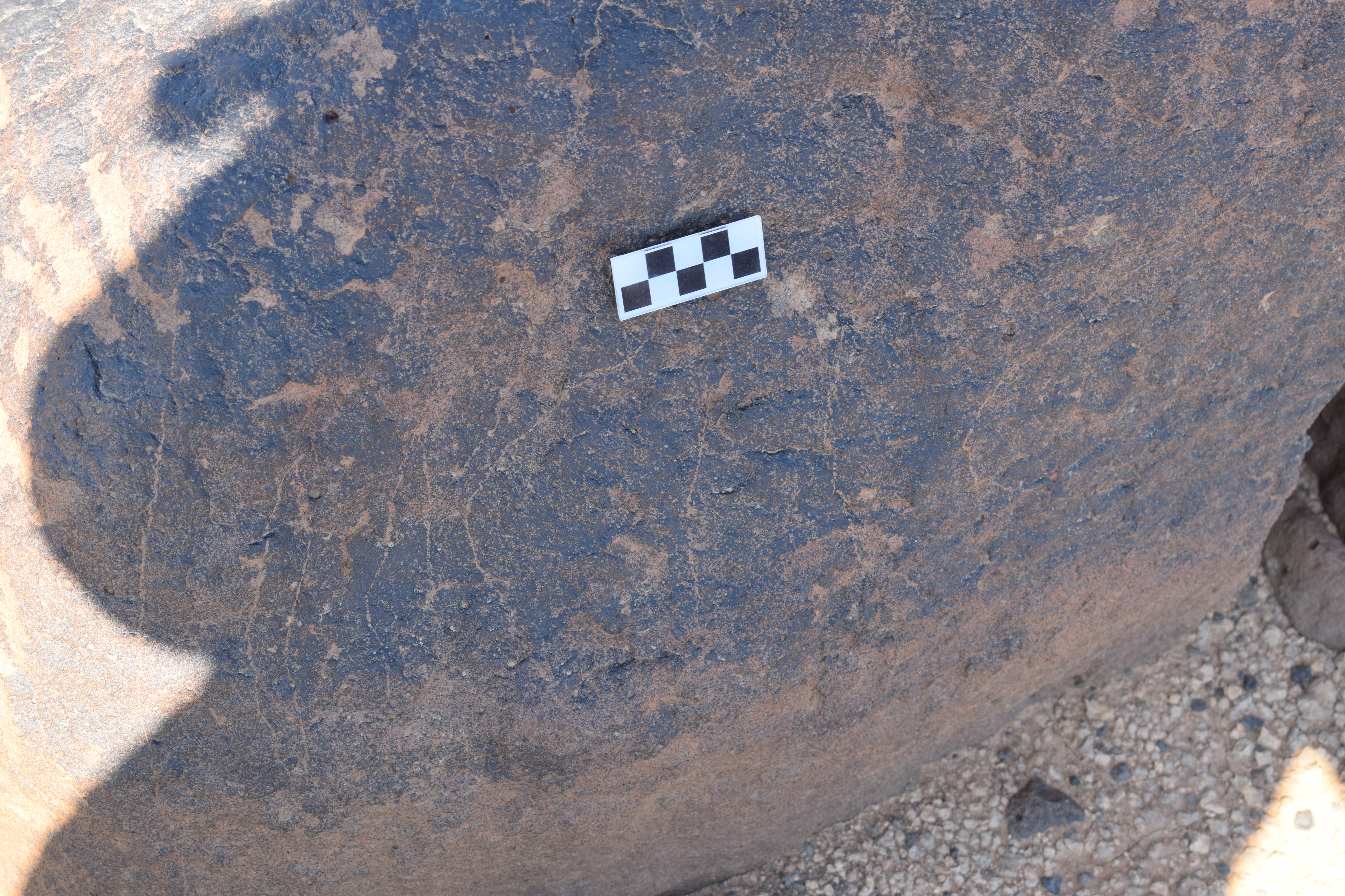 Image of siglum BES20 710