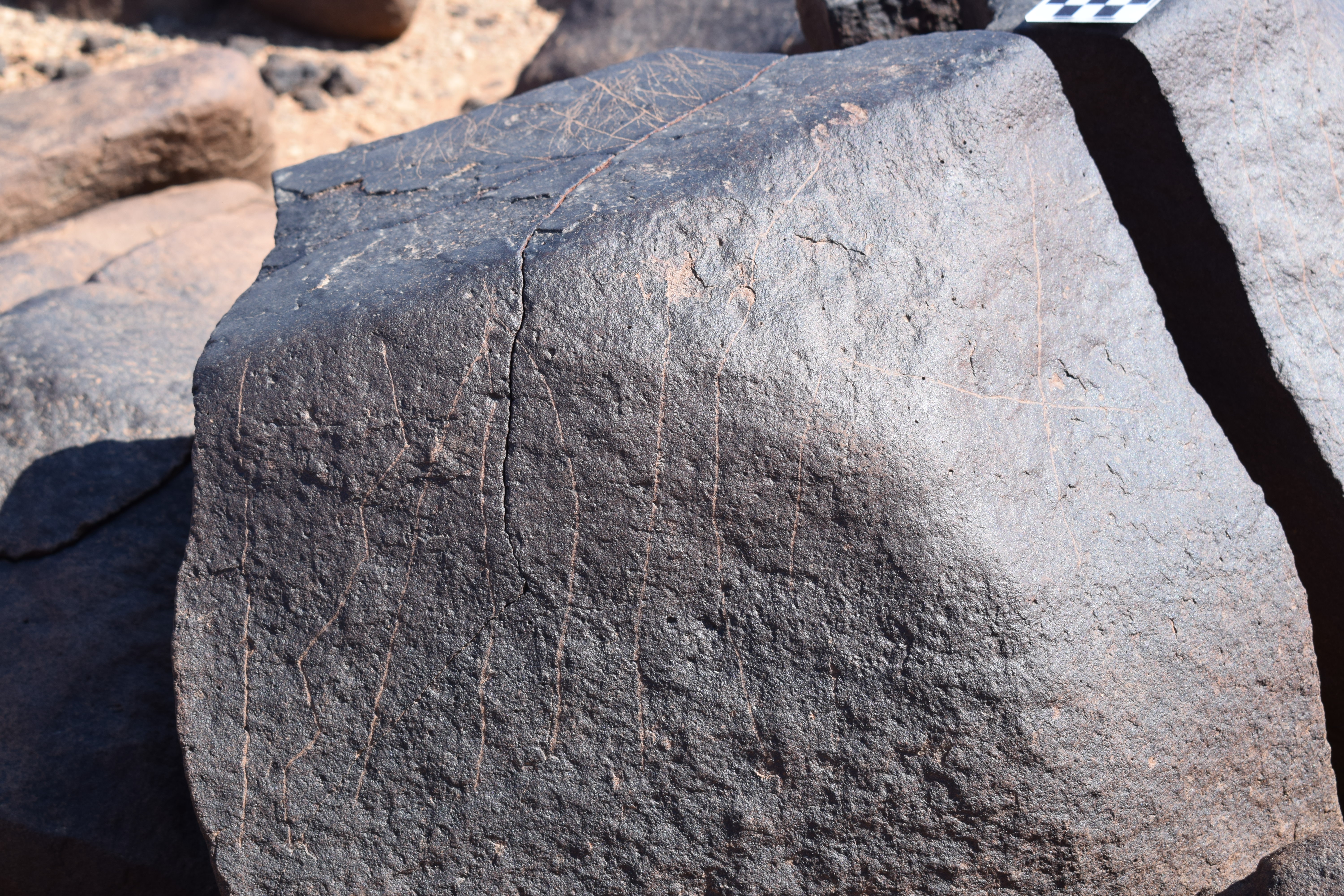 Image of siglum BES20 711