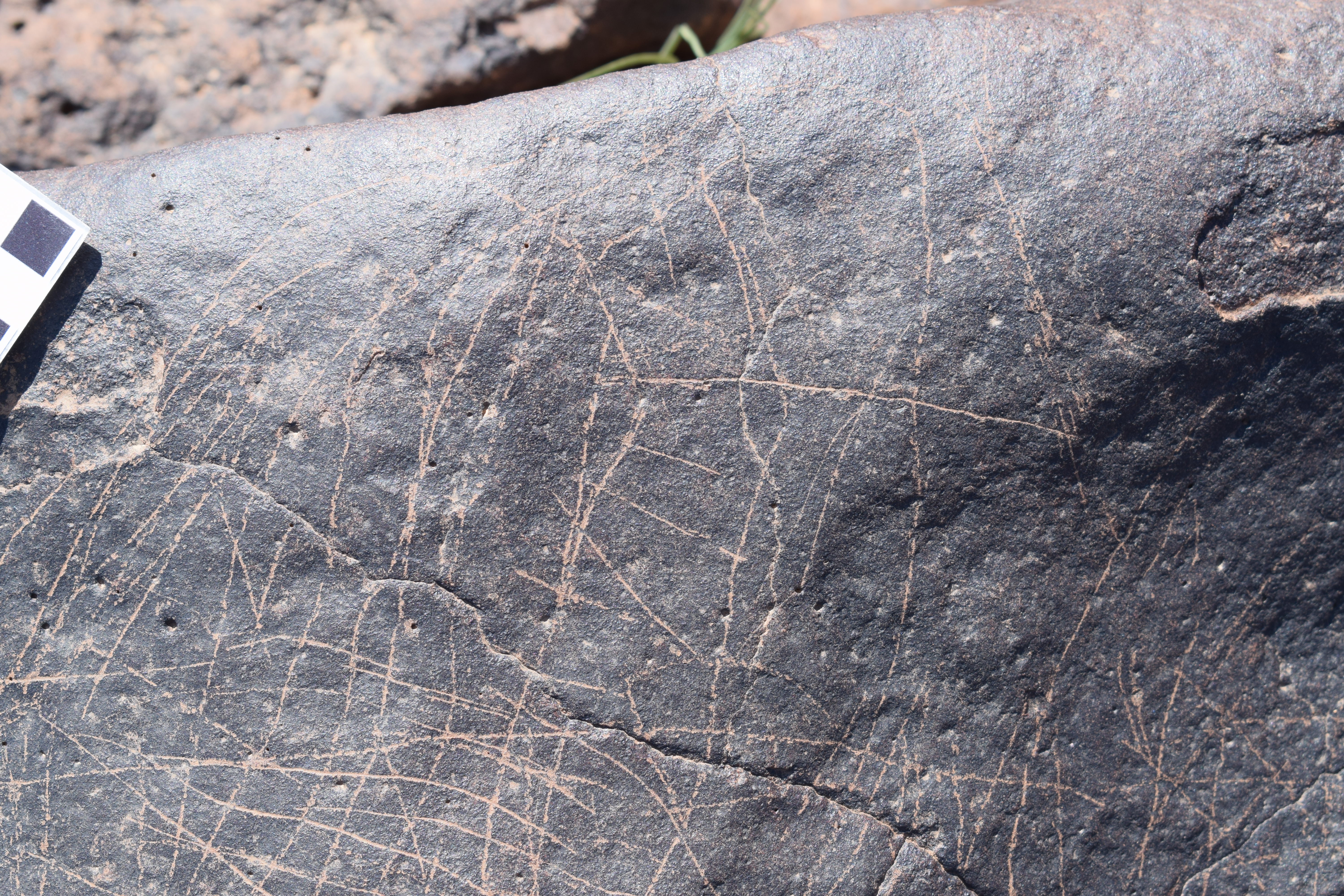 Image of siglum BES20 712