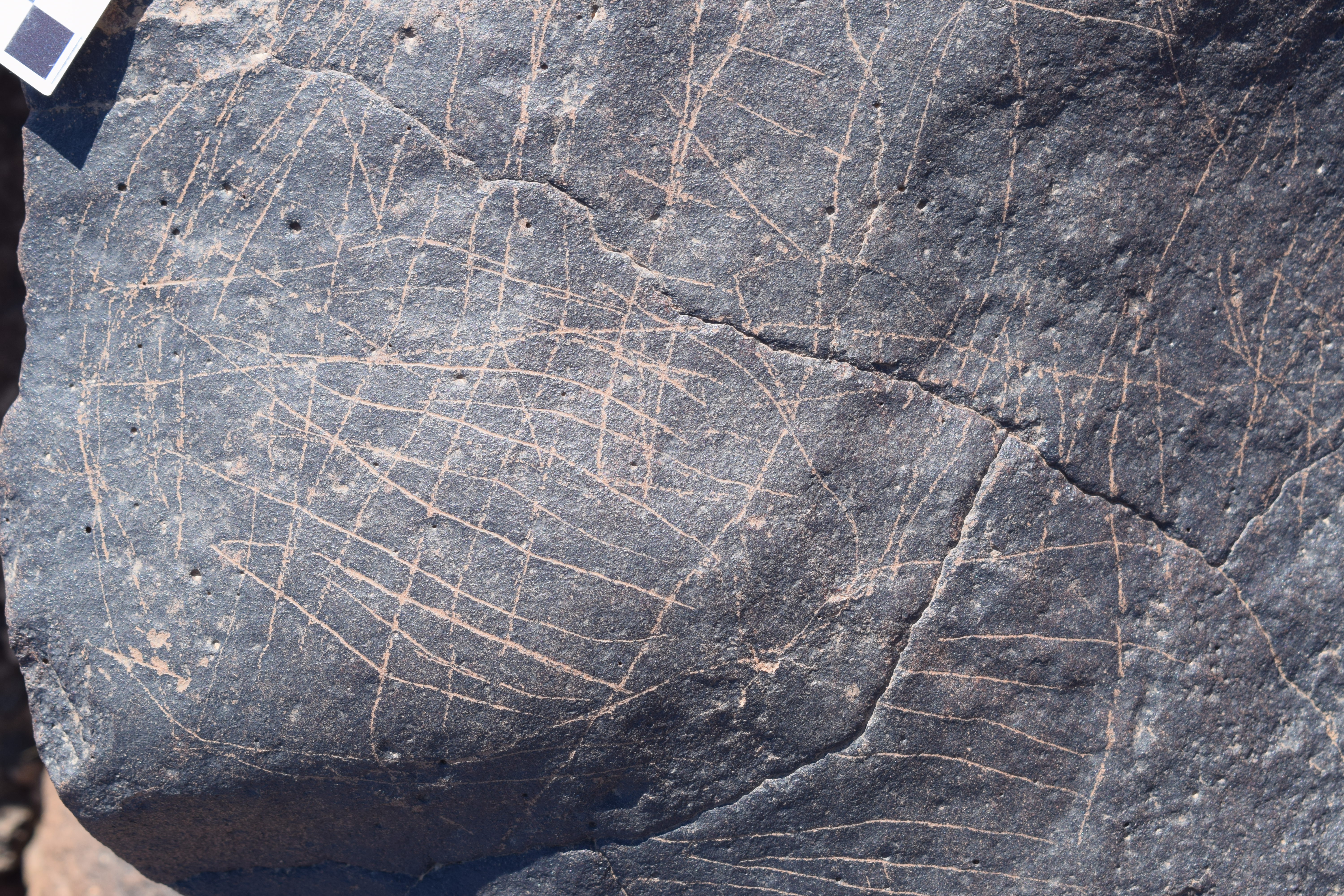 Image of siglum BES20 712