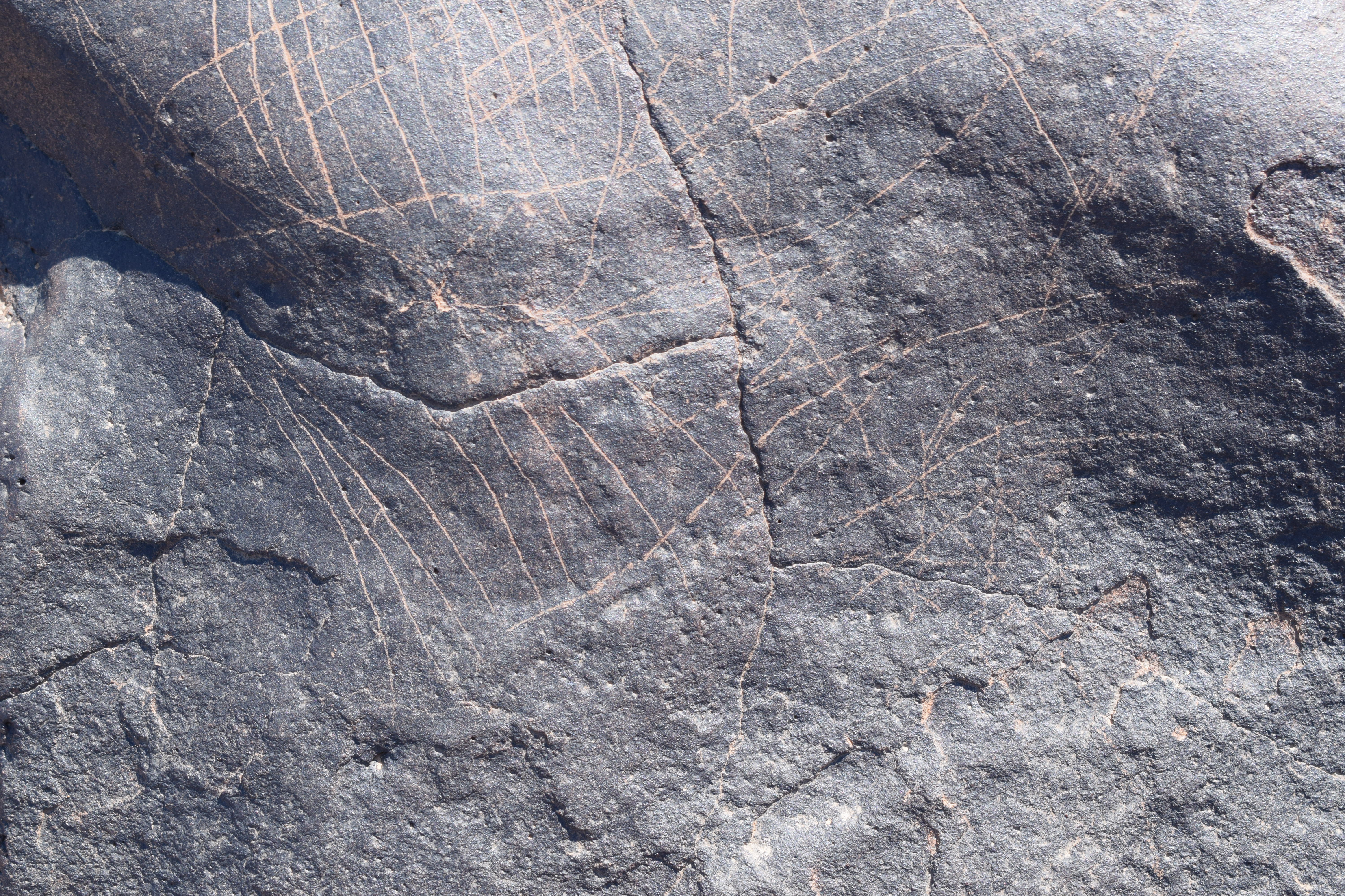 Image of siglum BES20 712