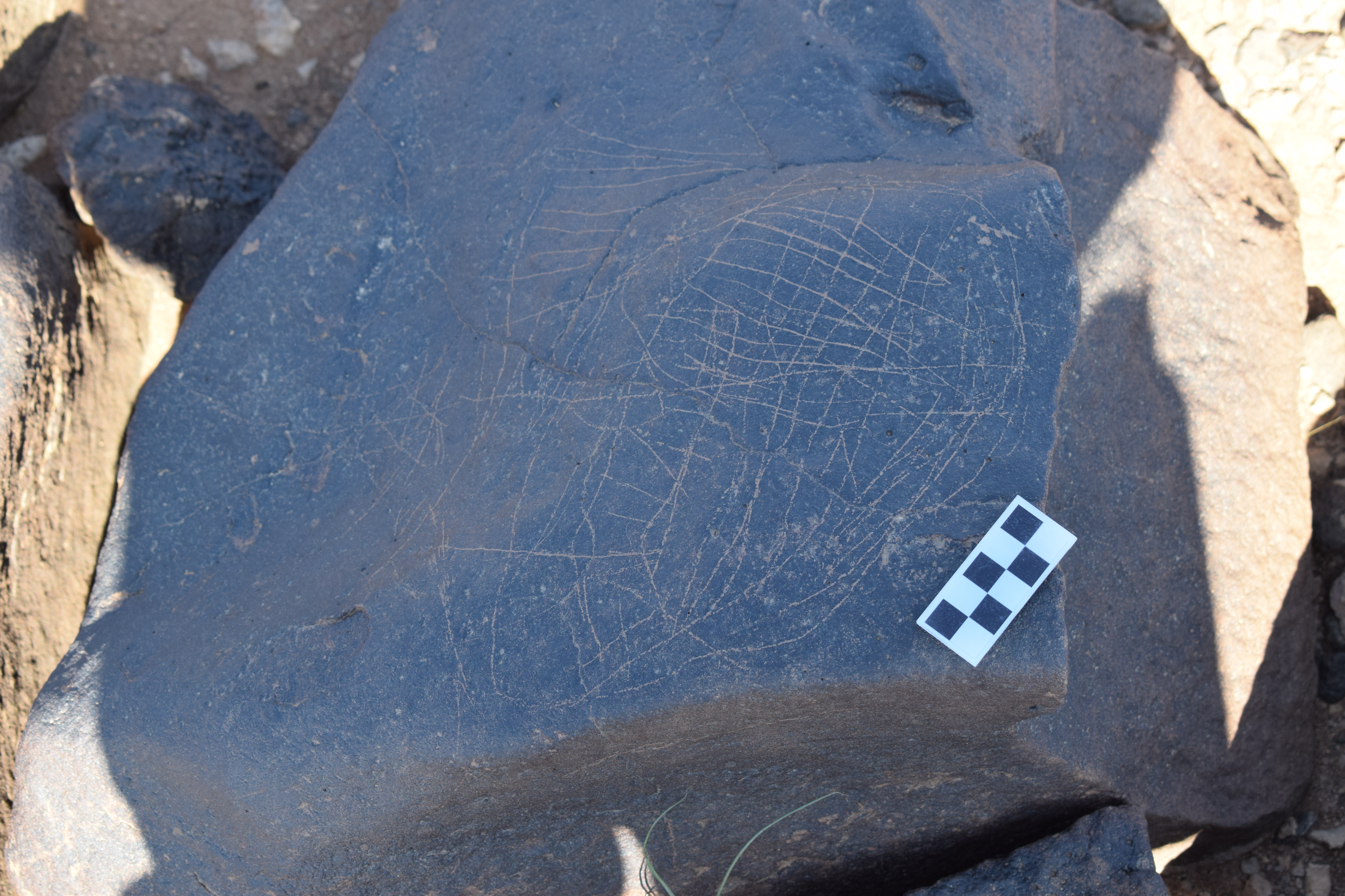 Image of siglum BES20 712