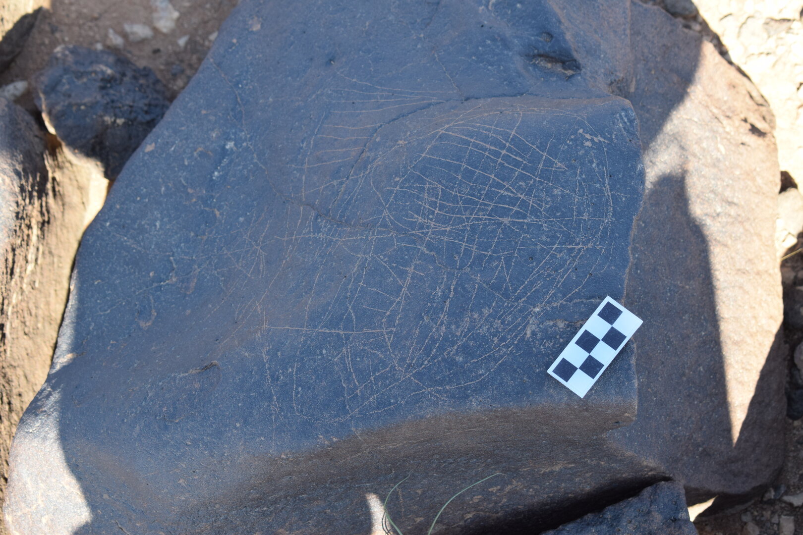 Image of siglum BES20 712