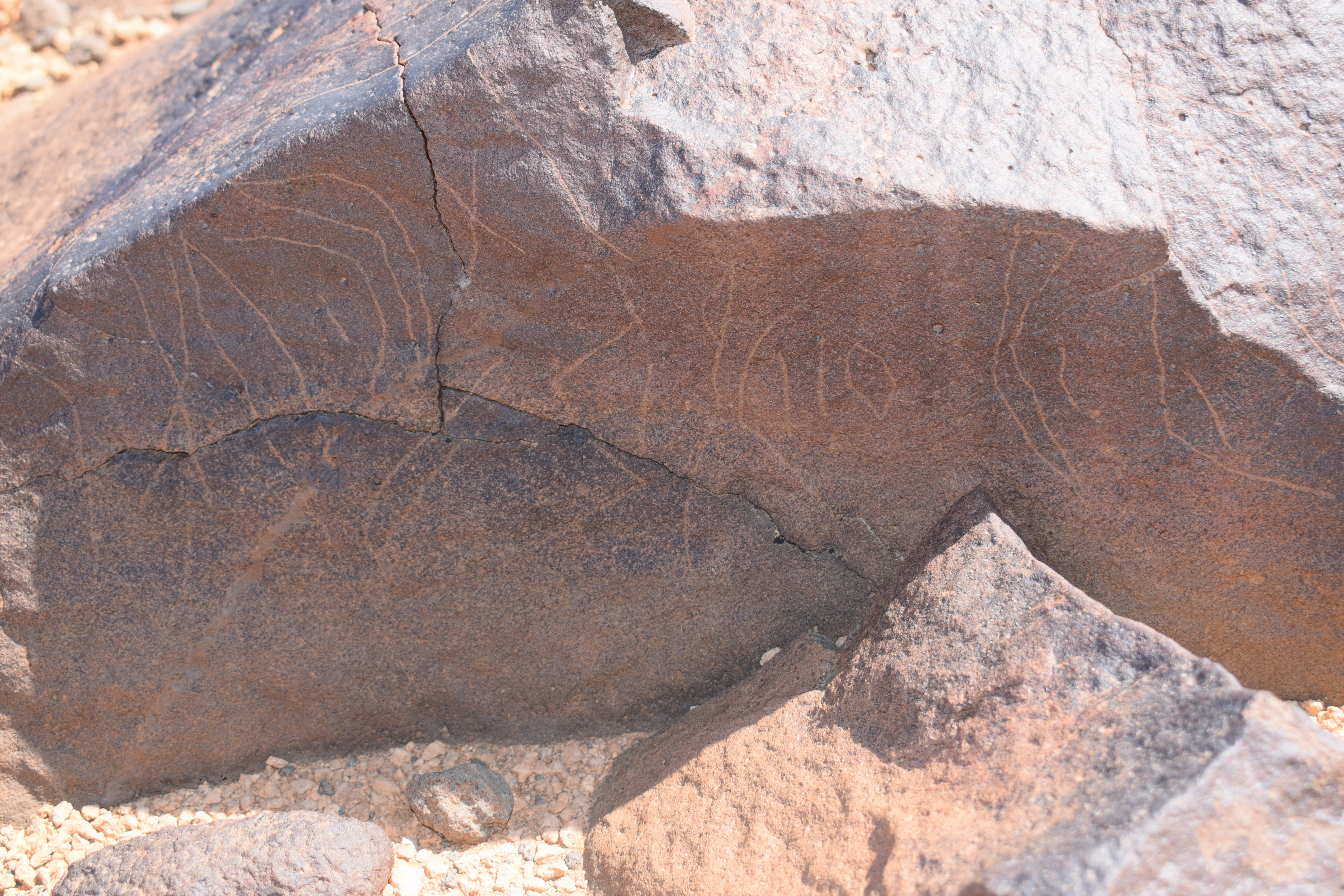 Image of siglum BES20 715