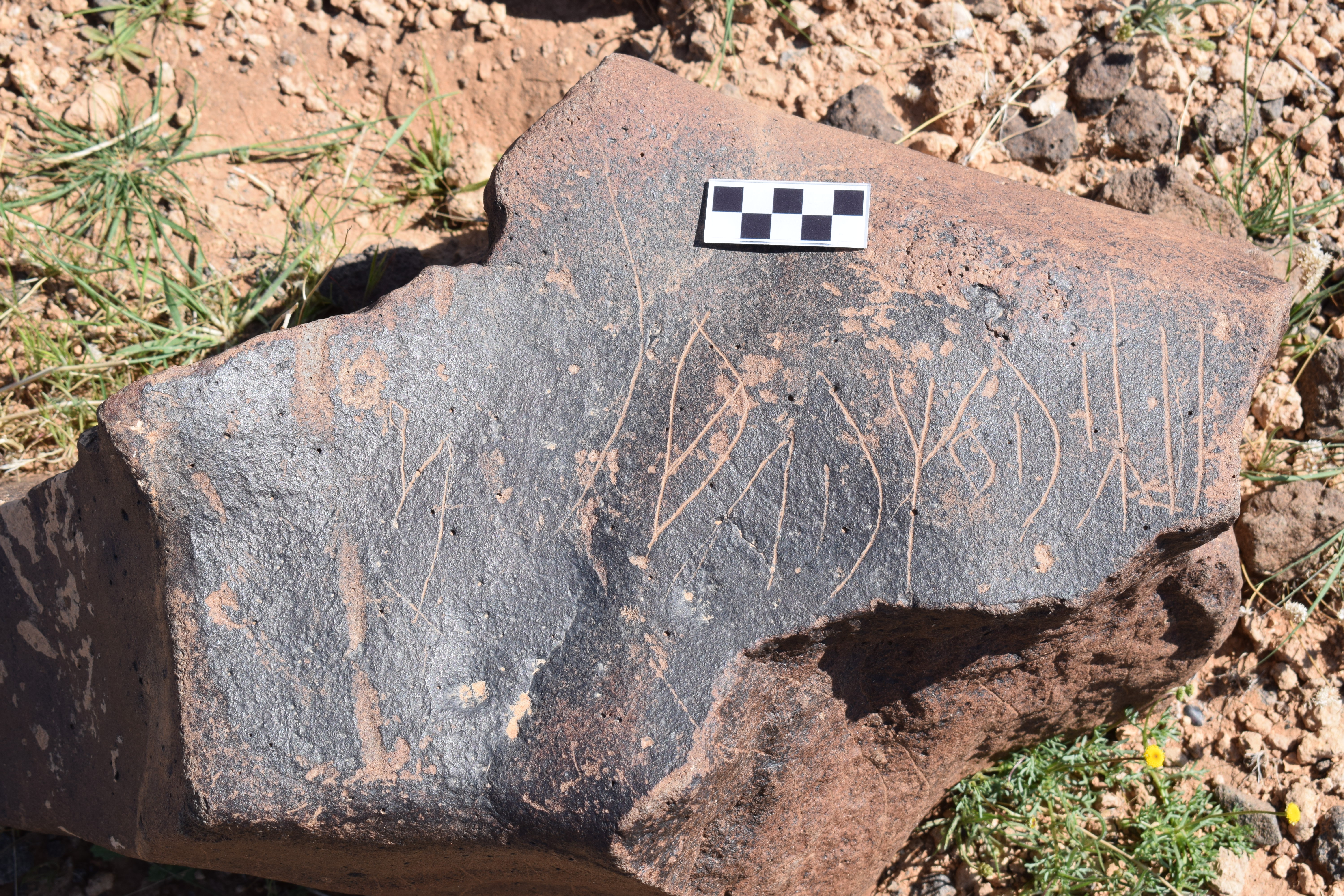 Image of siglum BES20 720