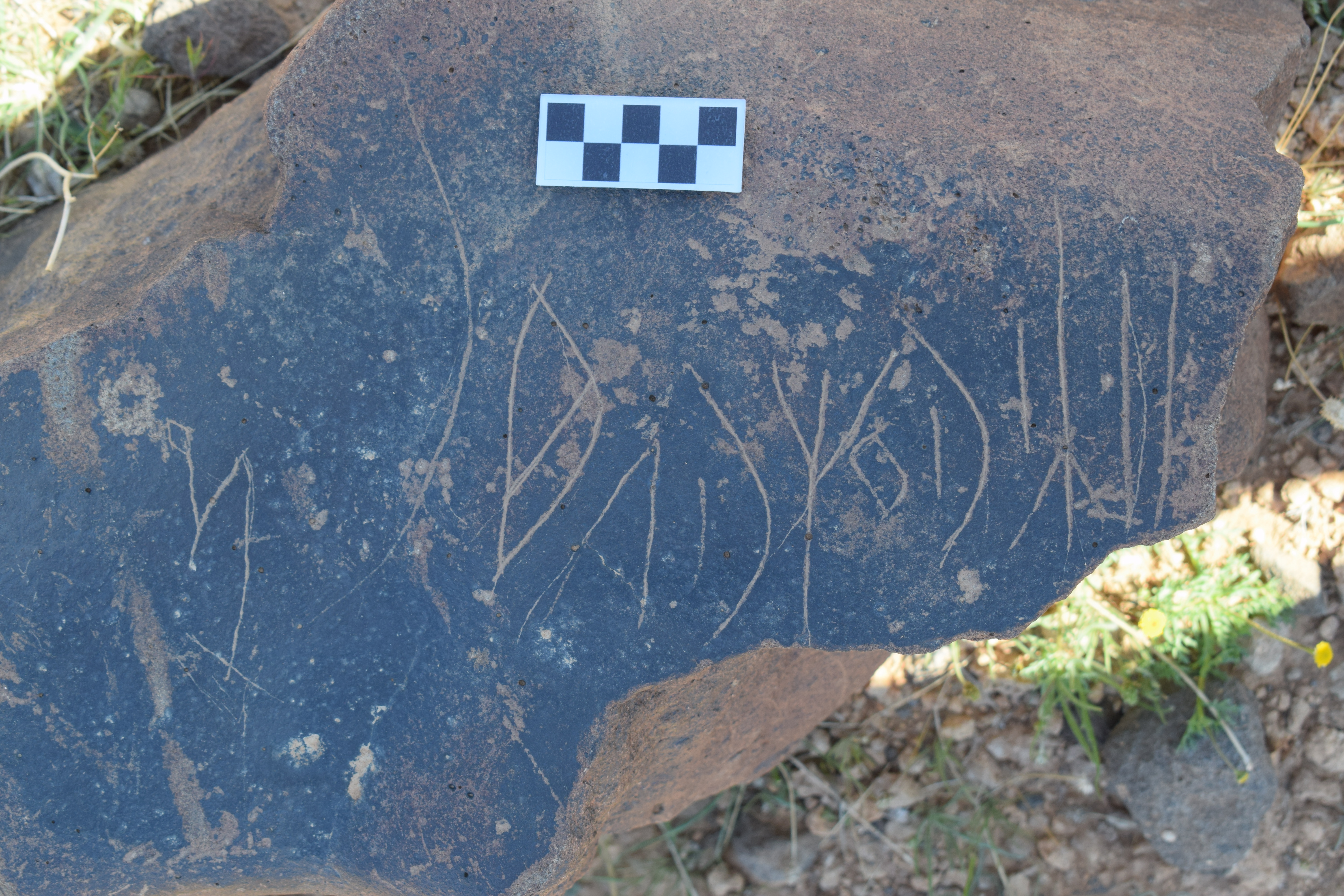 Image of siglum BES20 720