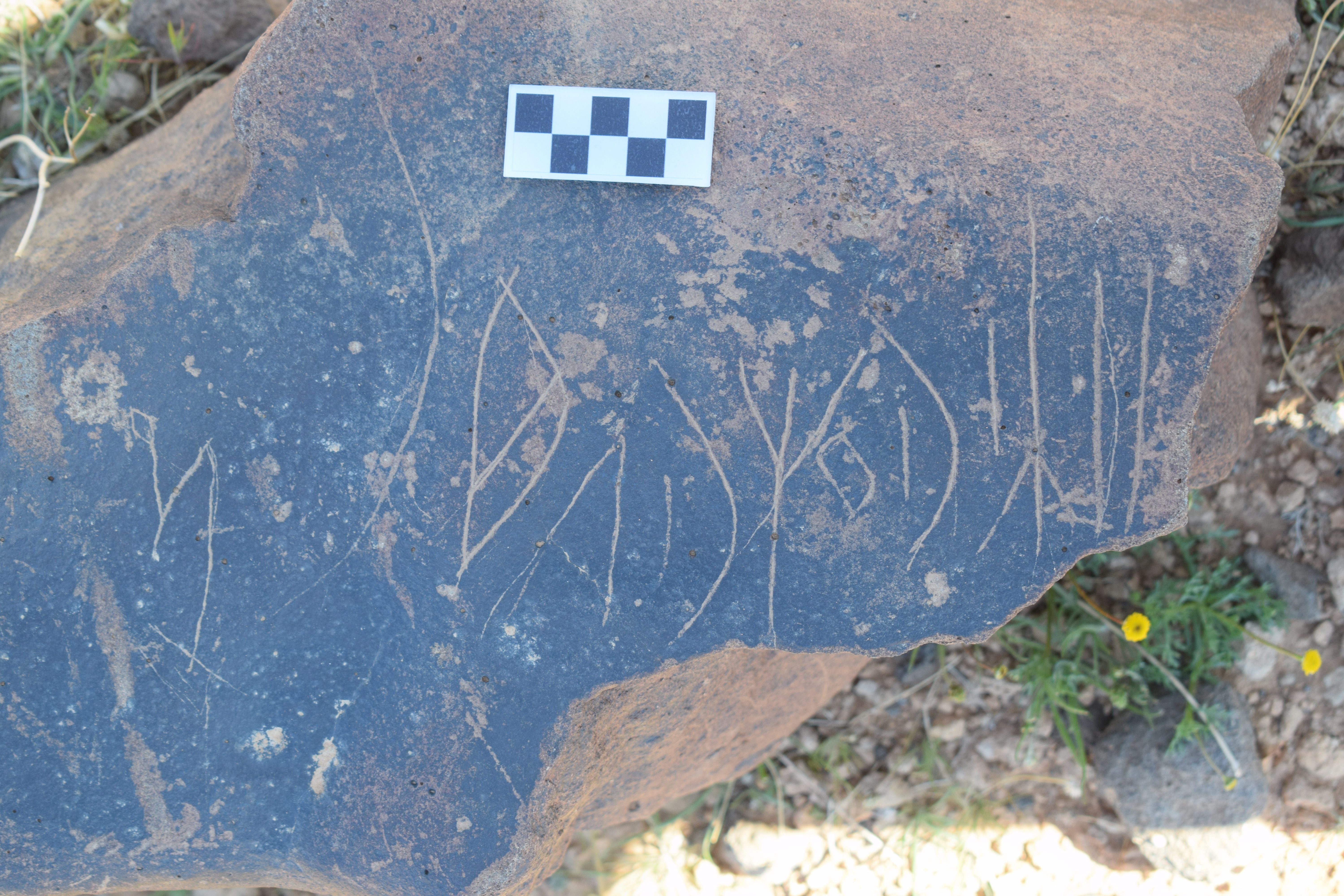 Image of siglum BES20 720