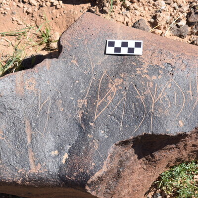 Image of siglum BES20 720