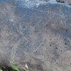 Image of siglum BES20 725
