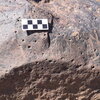 Image of siglum BES20 727