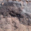 Image of siglum BES20 727
