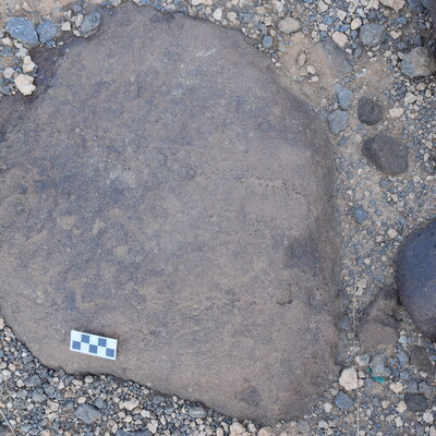 Image of siglum BES20 734