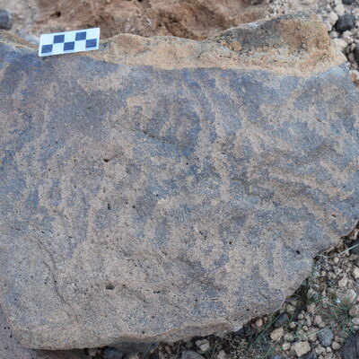 Image of siglum BES20 736