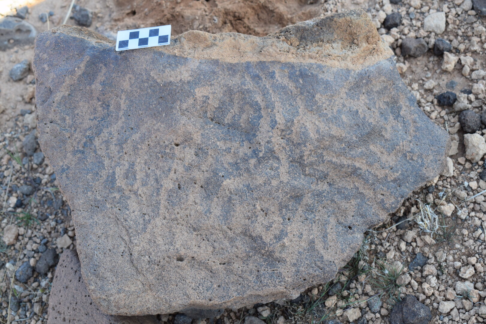 Image of siglum BES20 736
