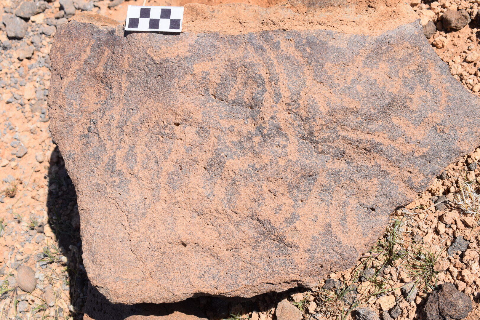 Image of siglum BES20 736