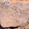 Image of siglum BES20 736