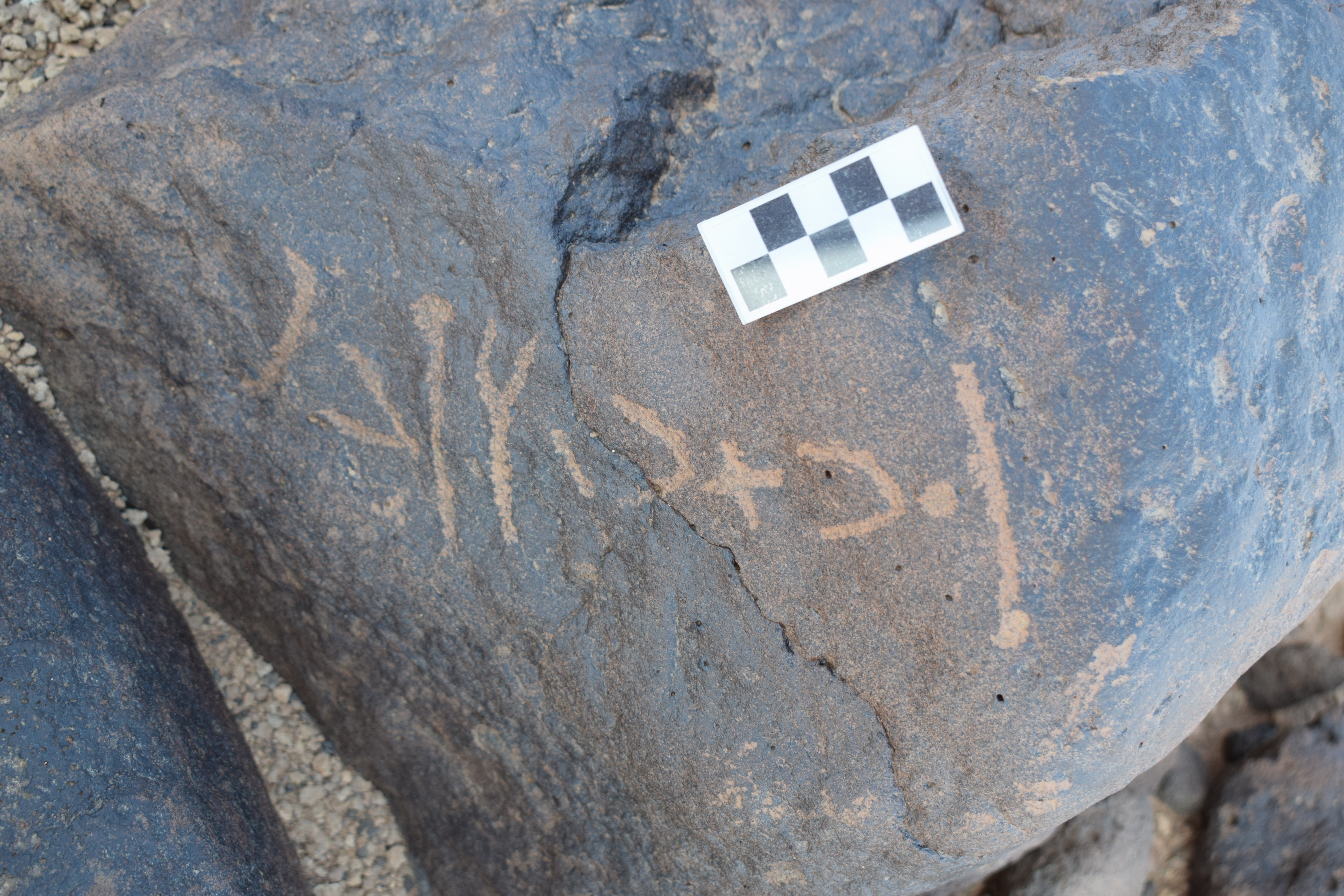 Image of siglum BES20 737