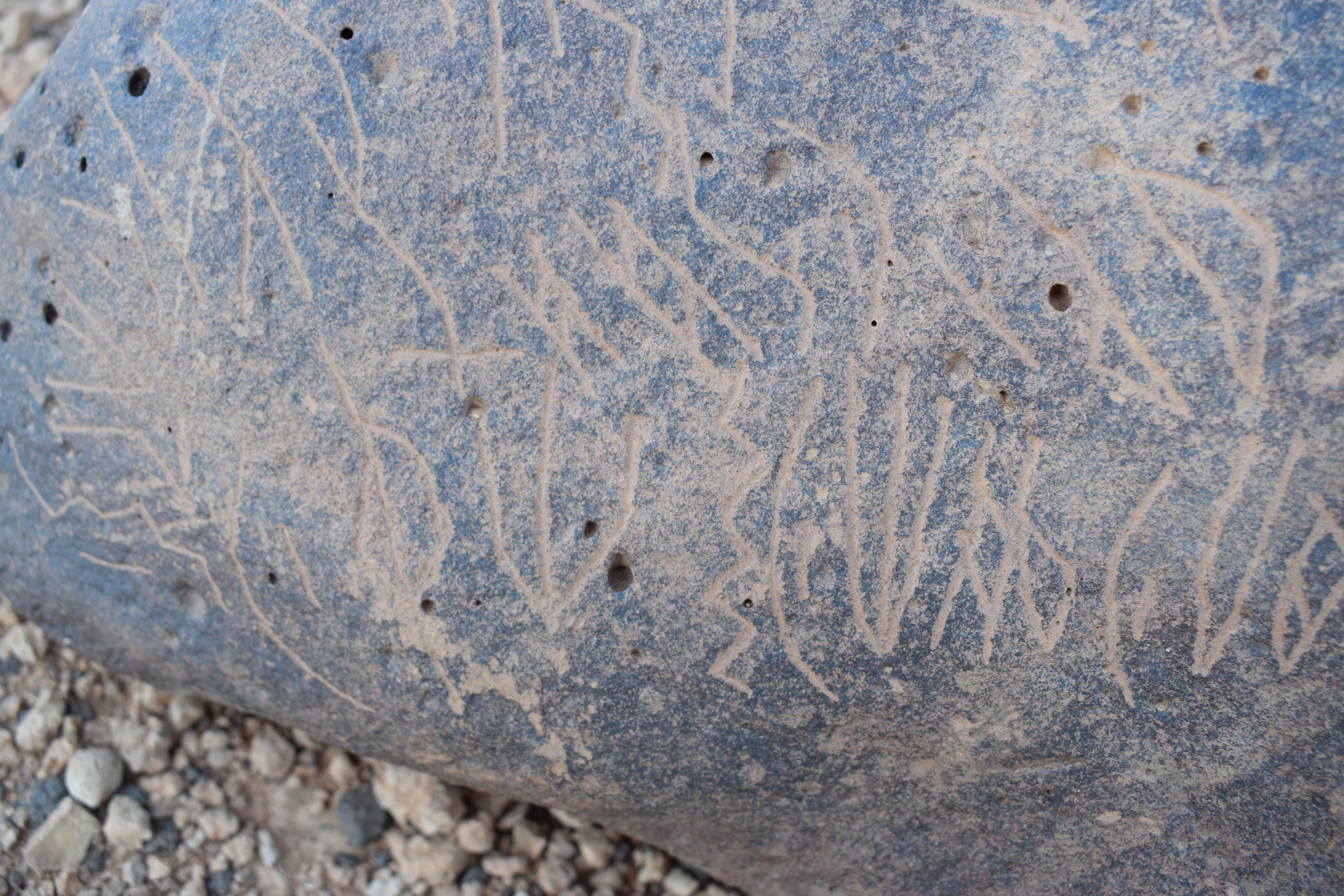 Image of siglum BES20 743