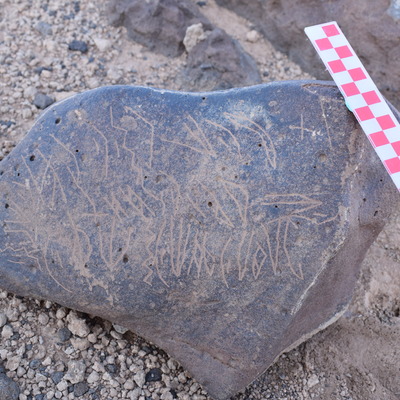 Image of siglum BES20 743