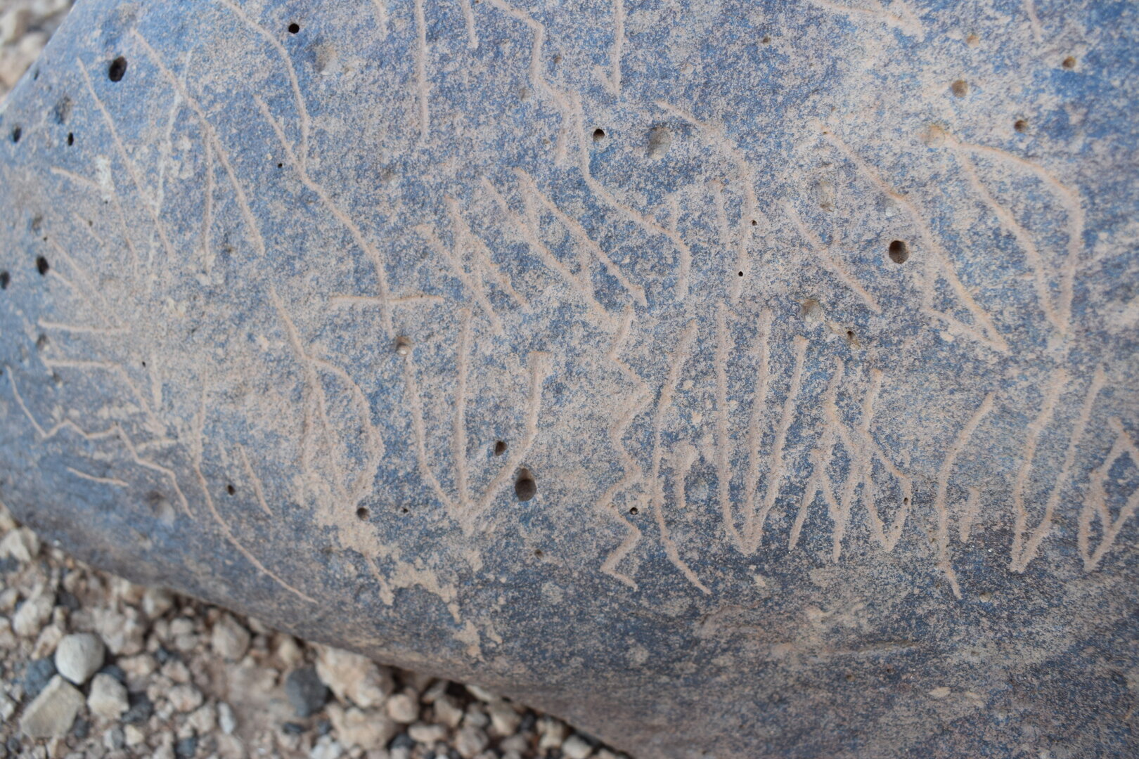 Image of siglum BES20 743