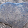 Image of siglum BES20 743