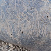 Image of siglum BES20 743