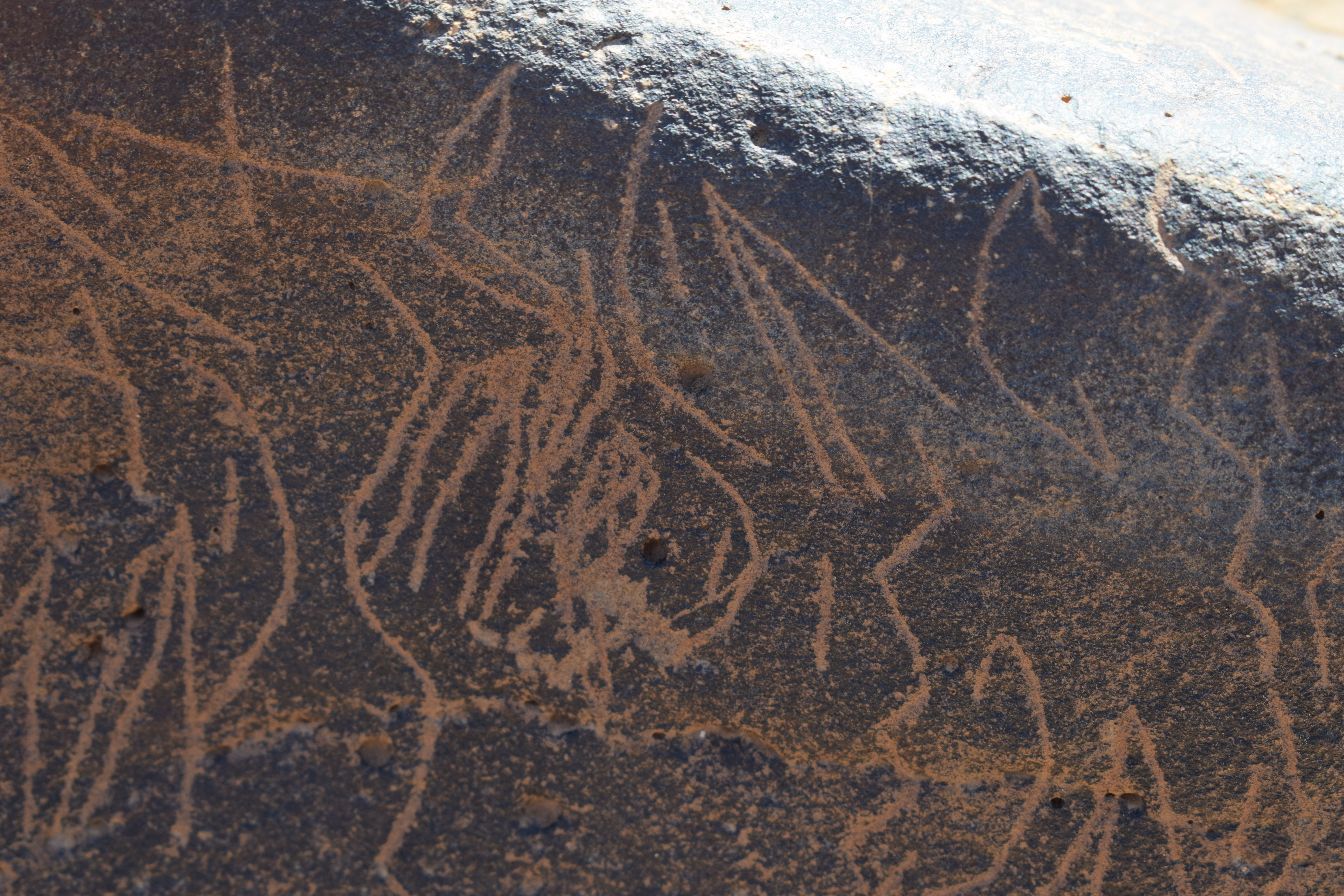 Image of siglum BES20 744