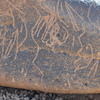 Image of siglum BES20 744