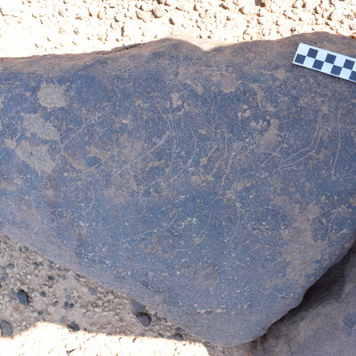 Image of siglum BES20 745