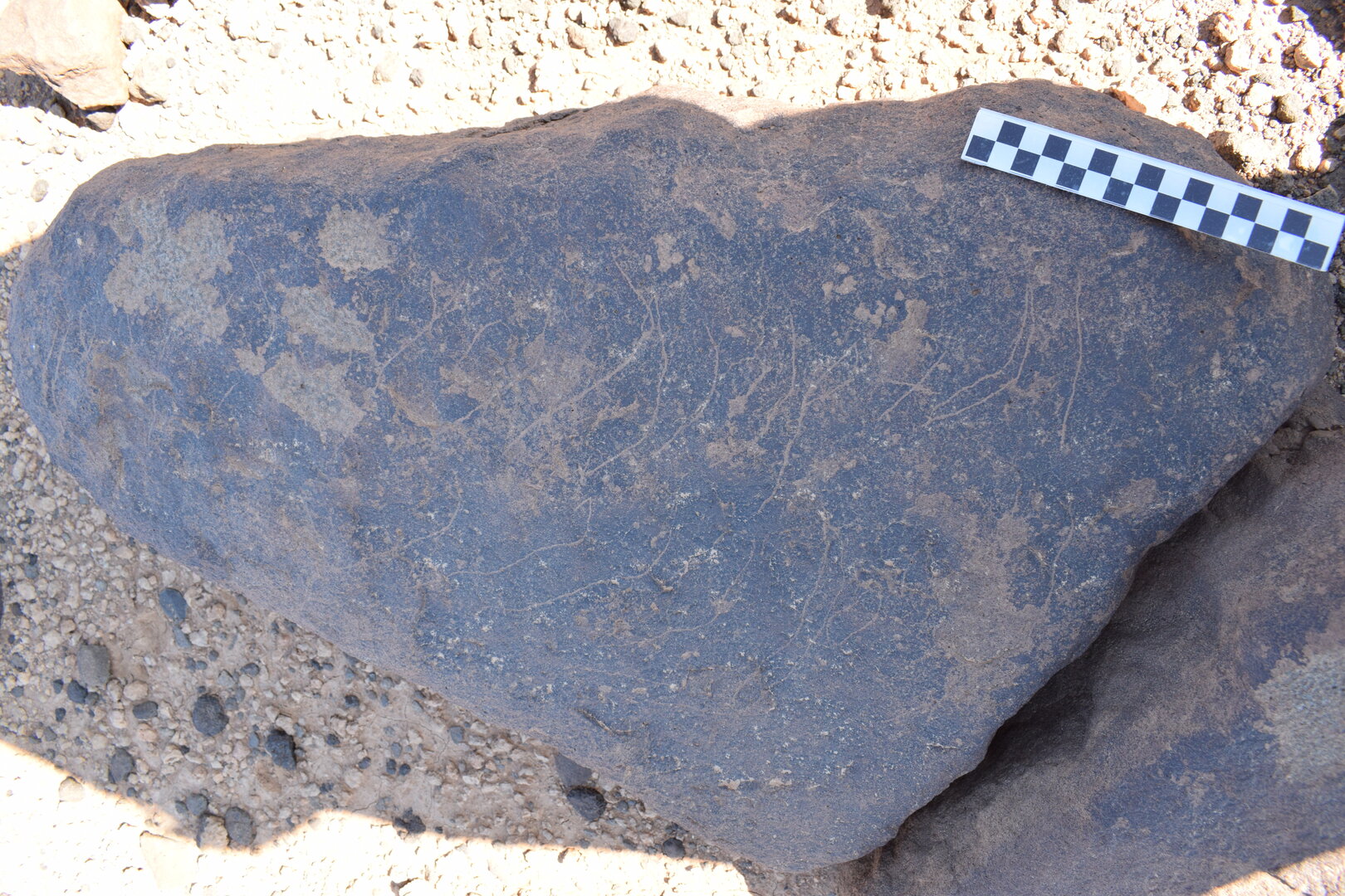 Image of siglum BES20 745
