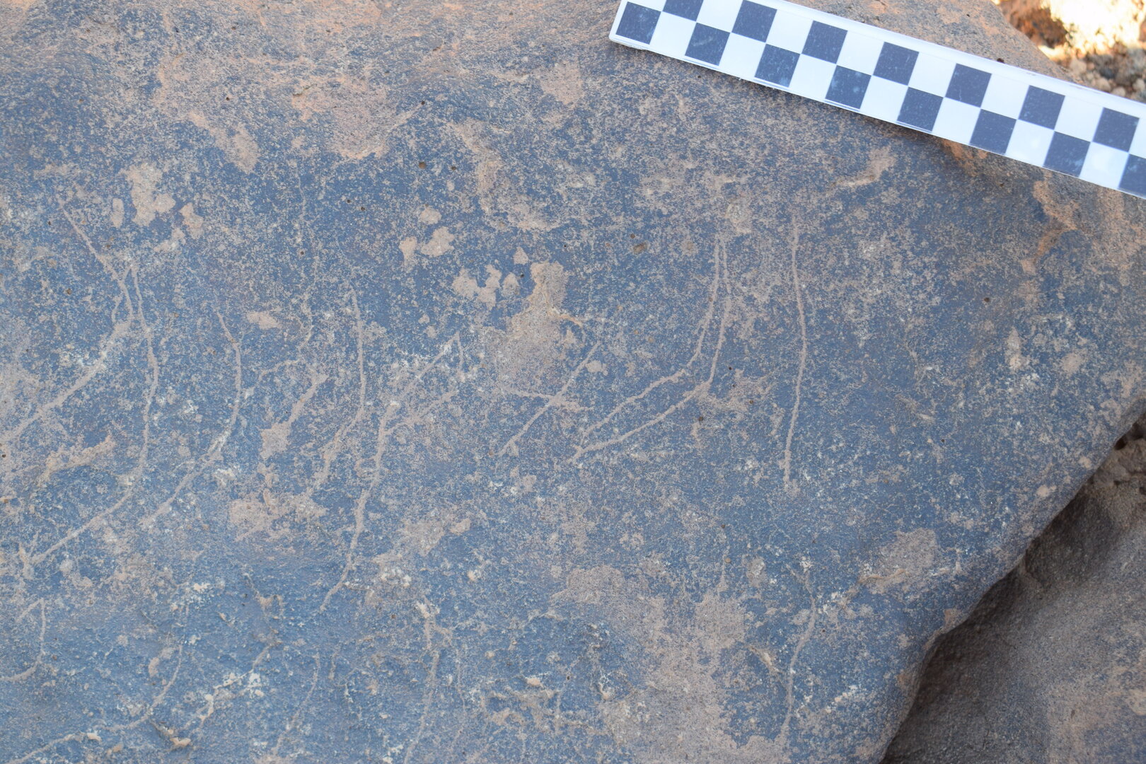 Image of siglum BES20 745