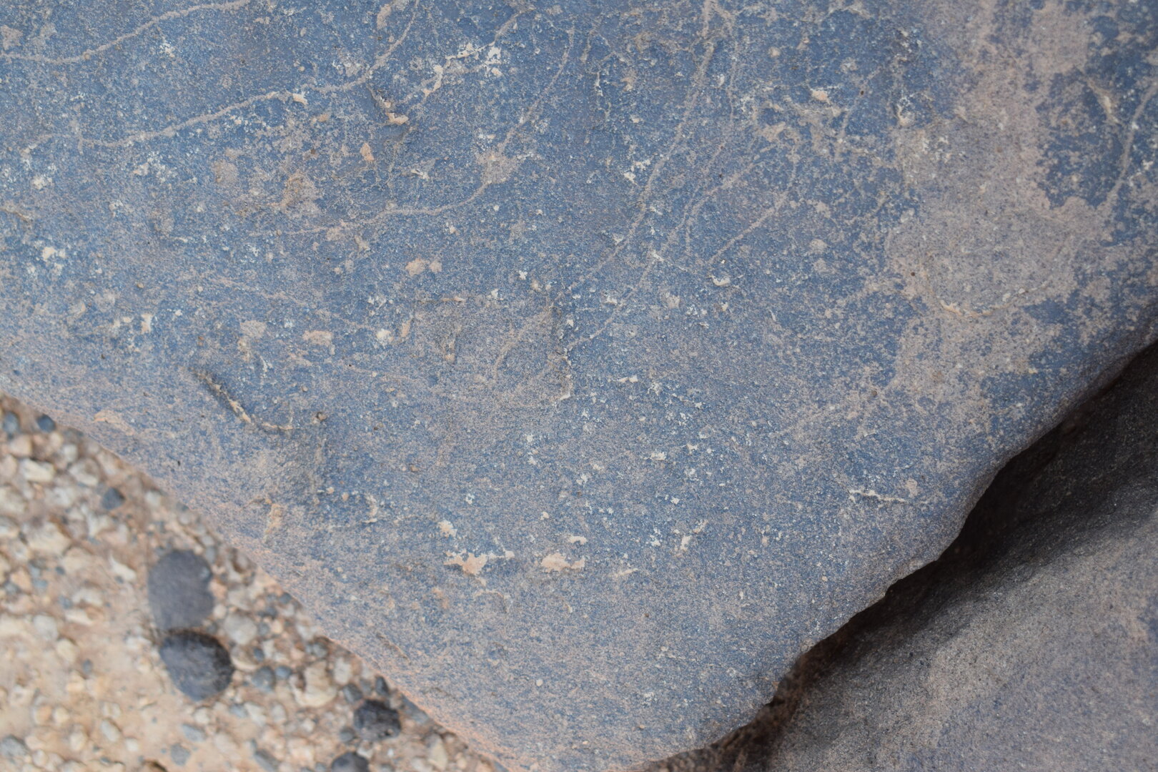 Image of siglum BES20 745