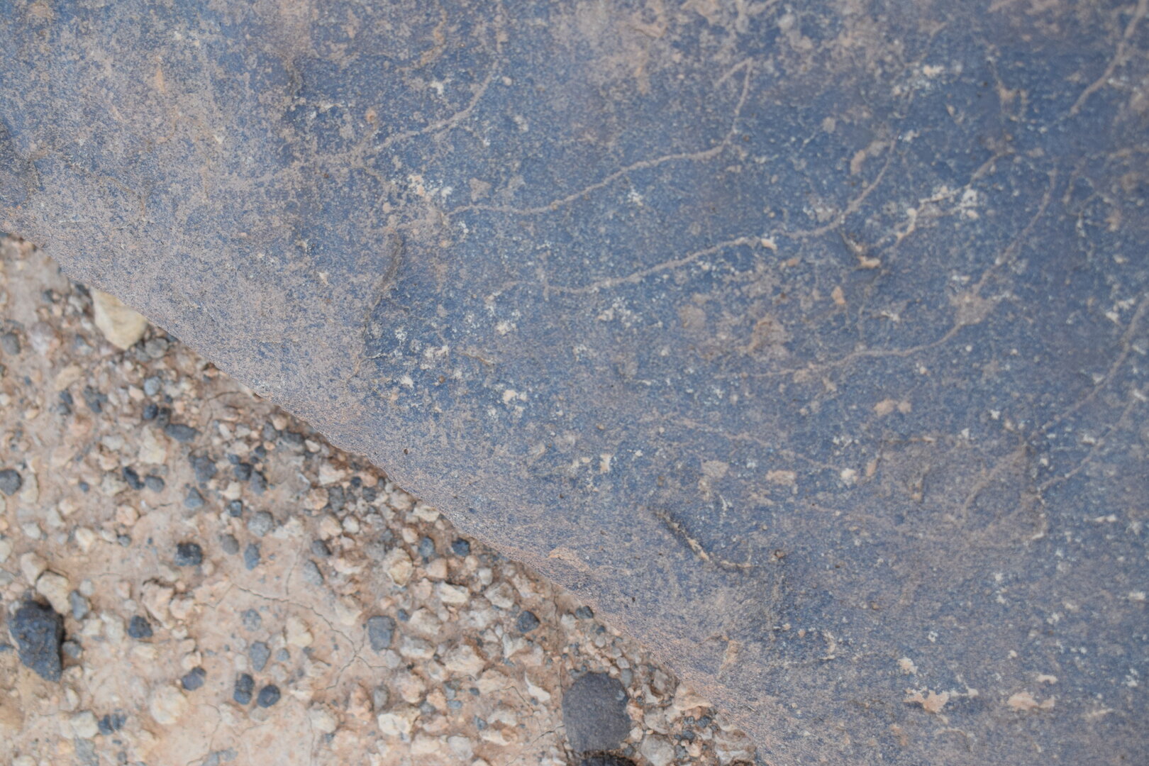 Image of siglum BES20 745