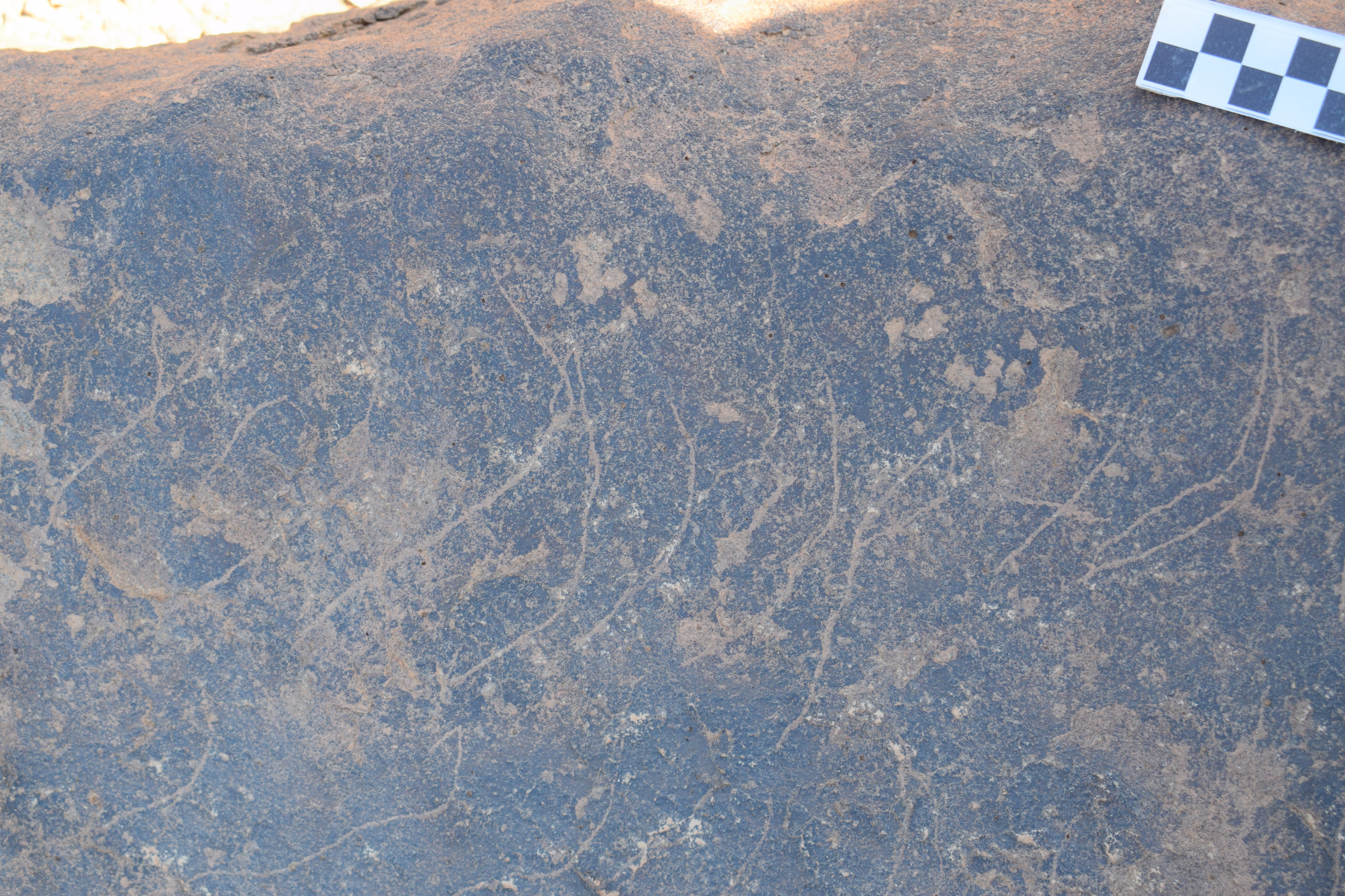 Image of siglum BES20 746