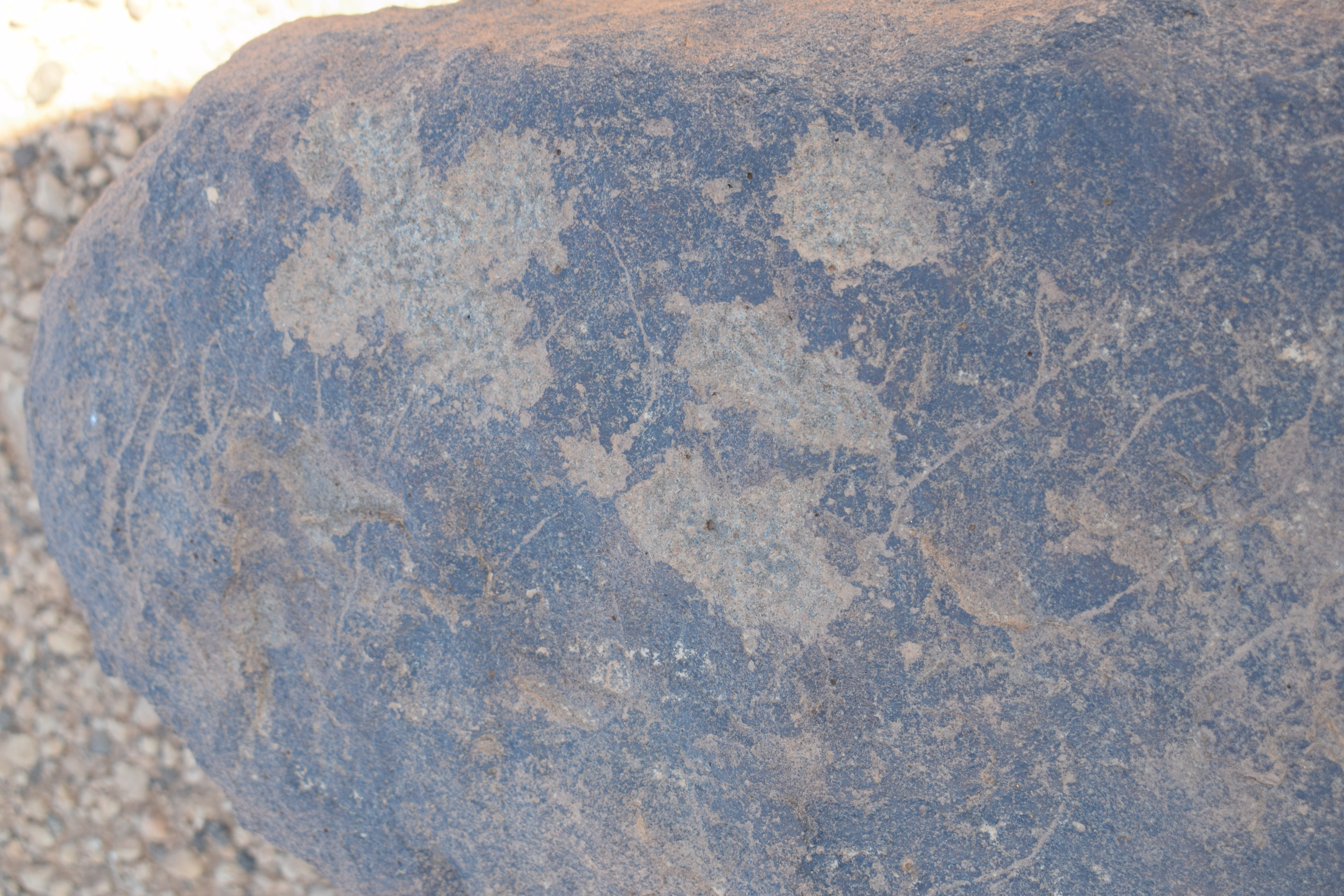 Image of siglum BES20 746