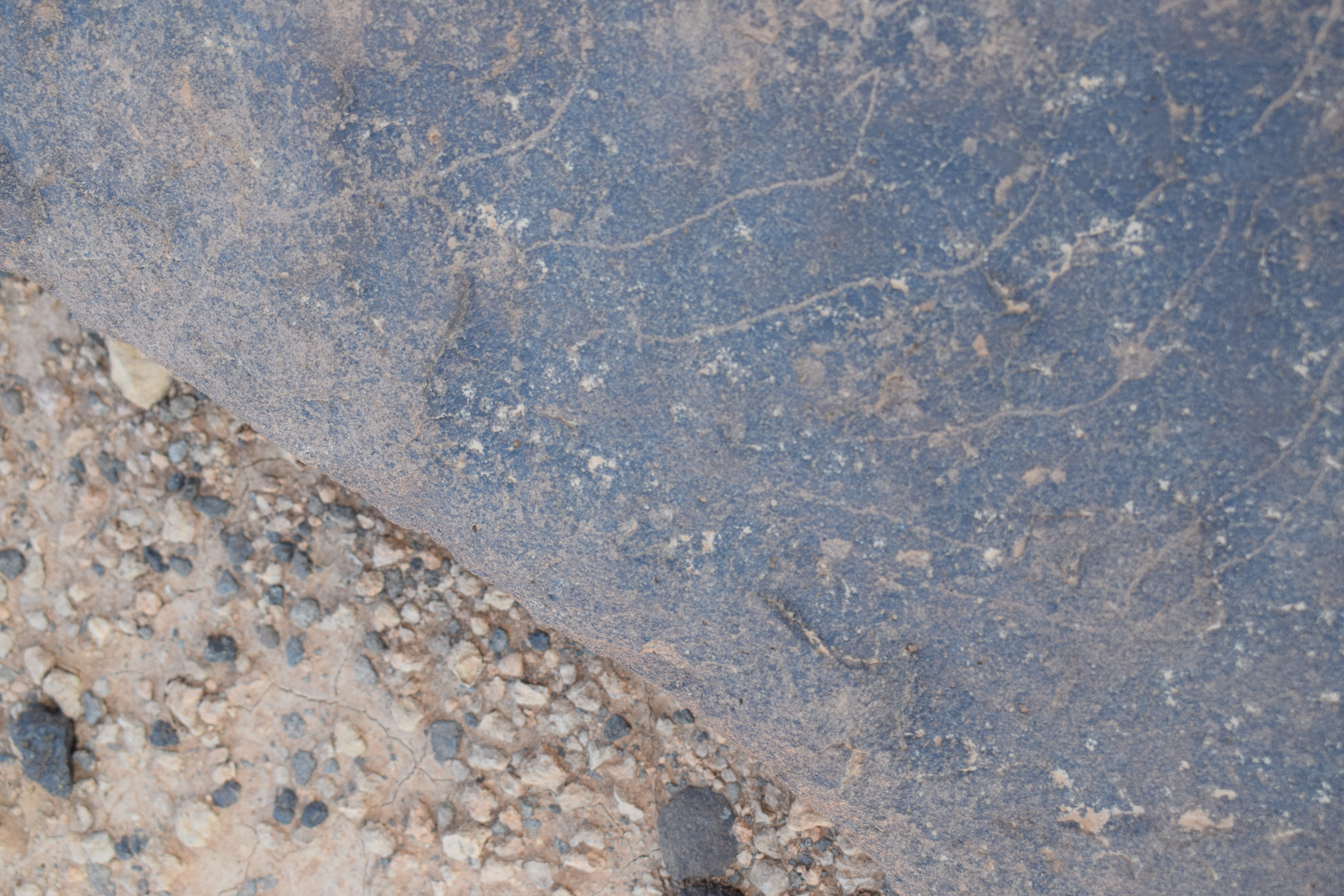 Image of siglum BES20 746