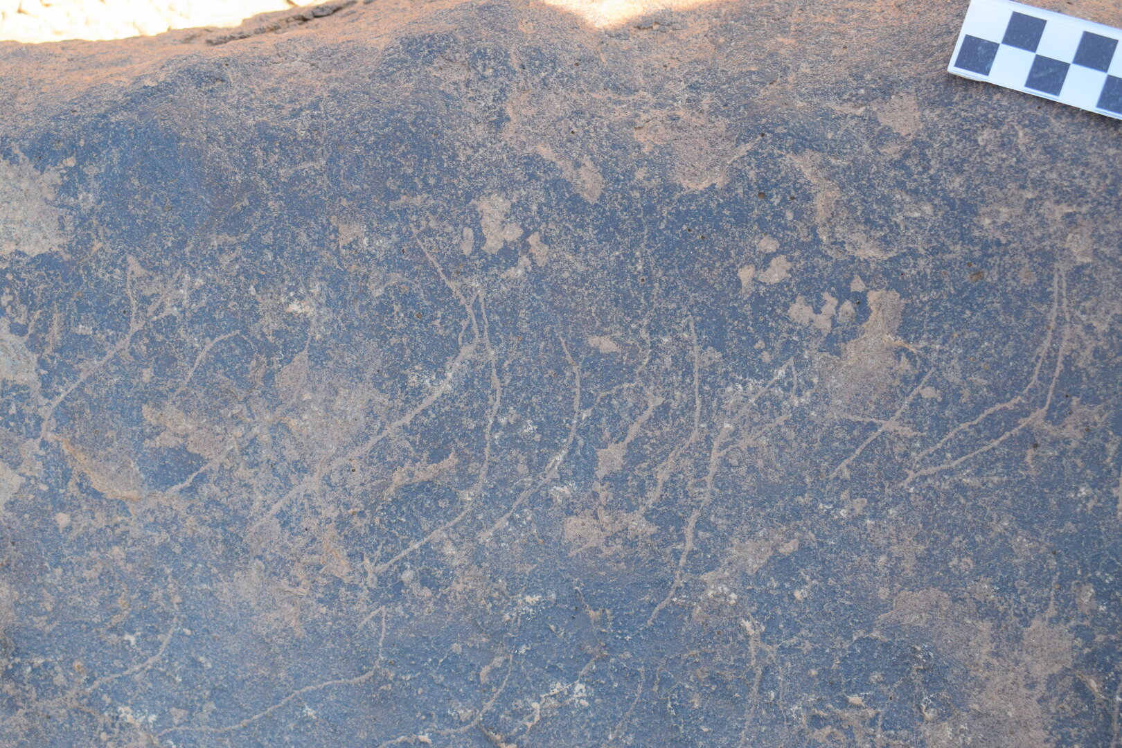 Image of siglum BES20 746