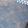 Image of siglum BES20 746