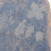 Image of siglum BES20 746