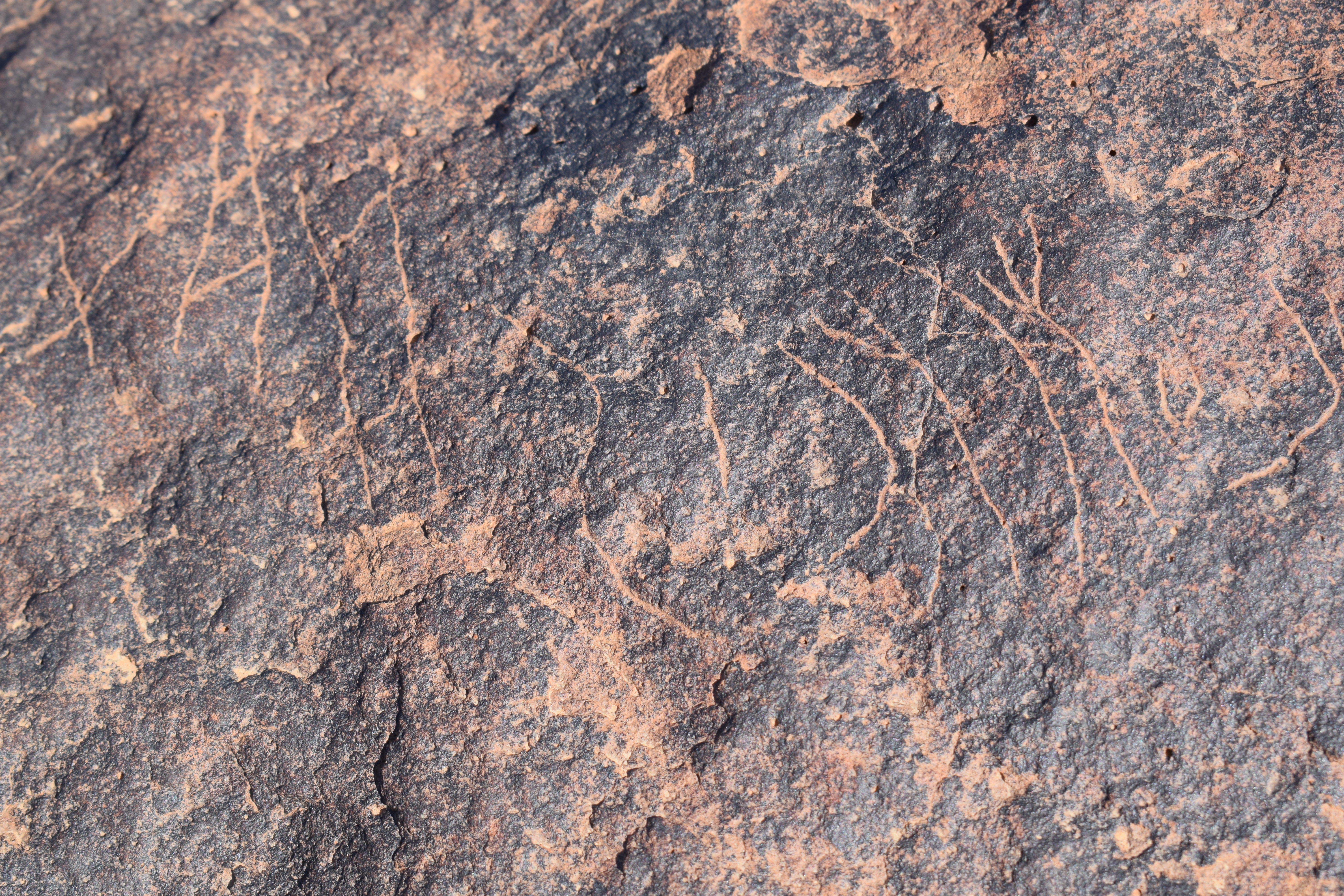 Image of siglum BES20 747