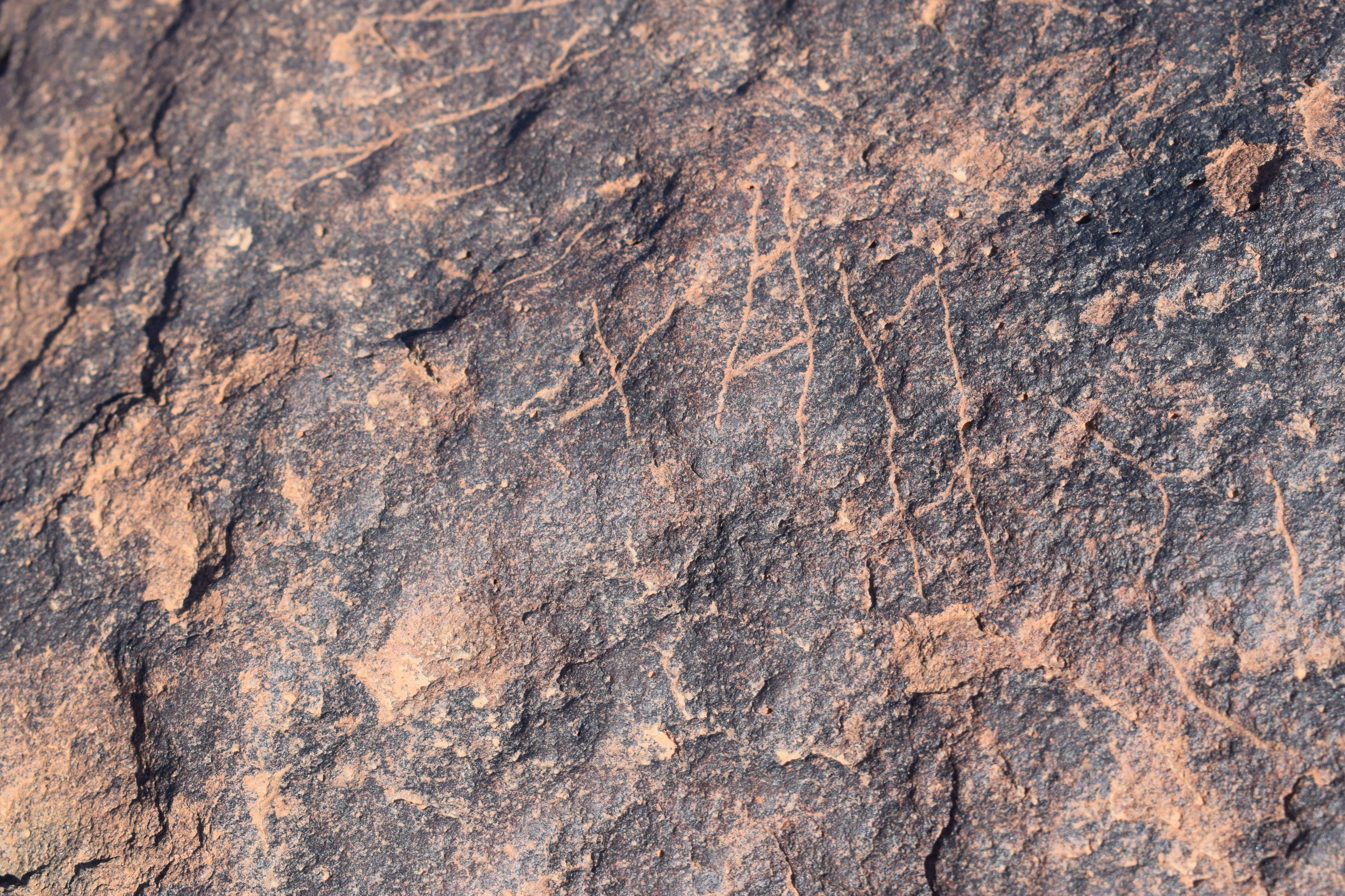 Image of siglum BES20 747