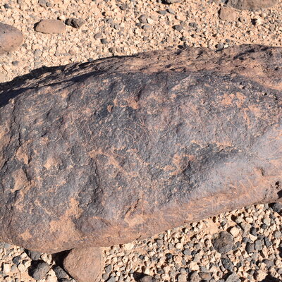 Image of siglum BES20 747