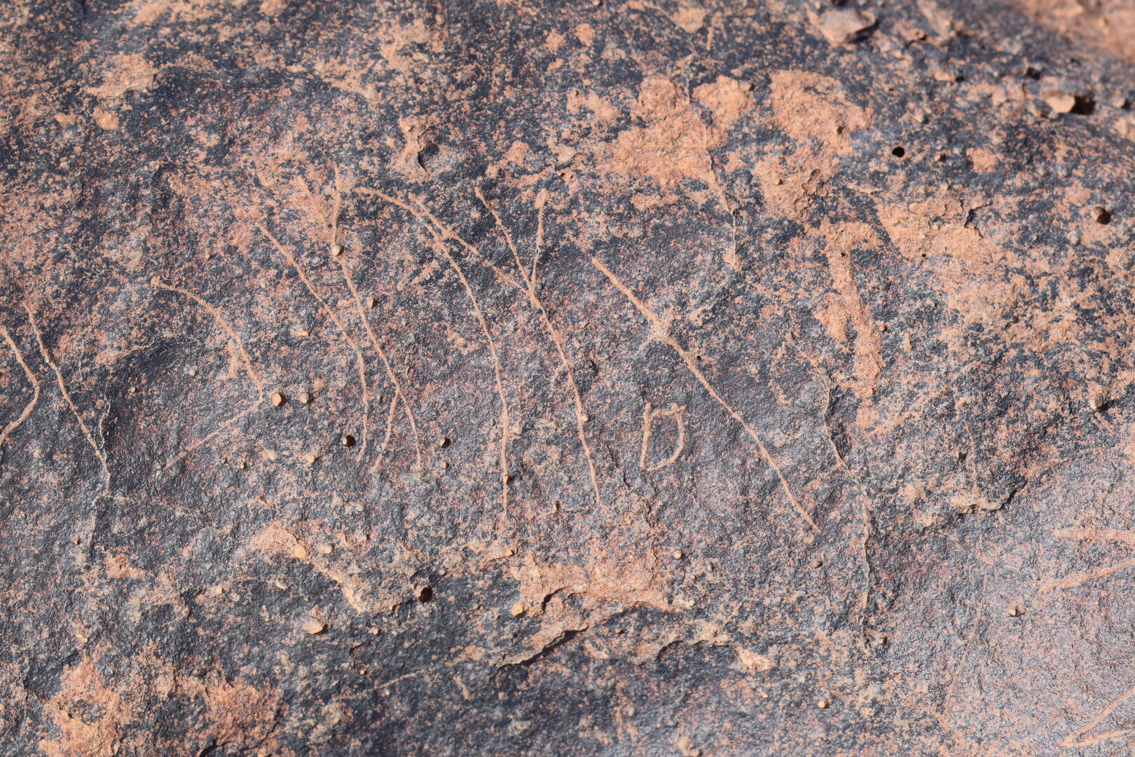 Image of siglum BES20 747