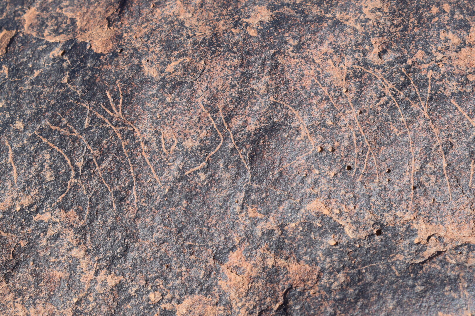 Image of siglum BES20 747
