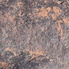 Image of siglum BES20 747
