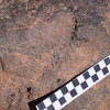 Image of siglum BES20 747